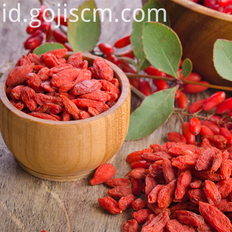 New Natural Goji Berry New Natural Goji Berry